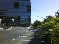 Imagine atasata: piata 700 04.JPG